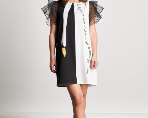 cisne-ficha-03-500x750